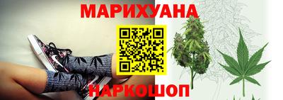 сатива Кимры