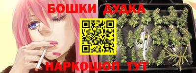 каннабис Кингисепп