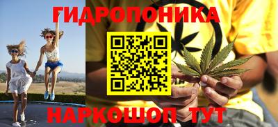 сатива Кимры