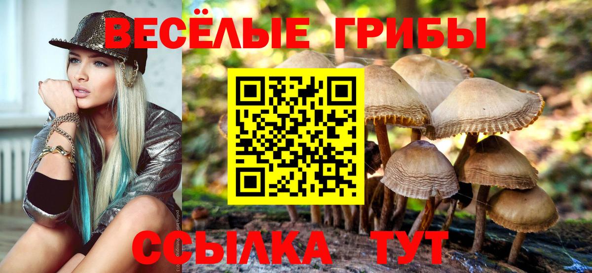 Псилоцибиновые грибы мухоморы  наркота  Коммунар  Вход с VPN 